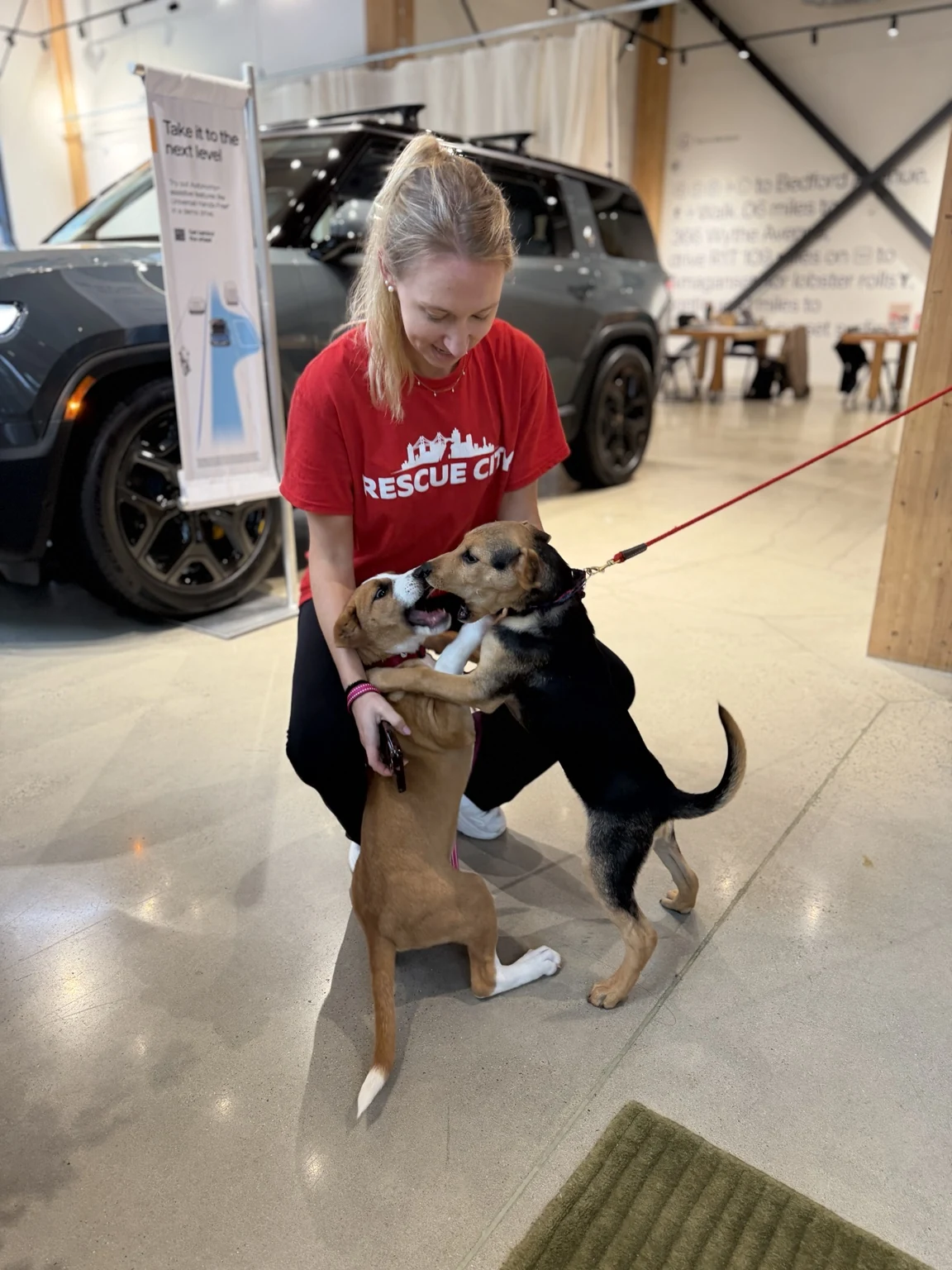 Rescue City volunteer with two adoptable puppies at the Rivian Williamsburg event